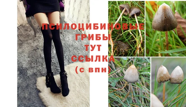 каннабис Богородицк