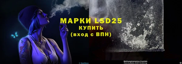 дурь Богданович