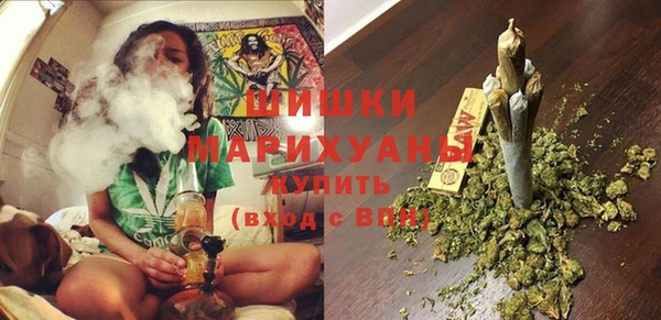 дурь Богданович