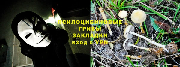 дурь Богданович